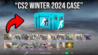 WE REVIEWED THE CS2 WINTER 2024 CASE...