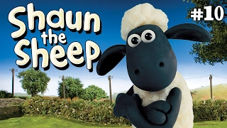 Camping Chaos x3 Episodes | Season 1 DVD Collection | Shaun the Sheep