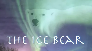 An Ice Story: Polar Bears