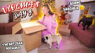 Vlogmas 9 ДЕНИС ЗАБОЛЕЛ 🤒 но ГЕНЕРАЛЬНАЯ УБОРКА В ДОМЕ К НОВОМУ ГОДУ ПРОДОЛЖАЕТСЯ ✅✨