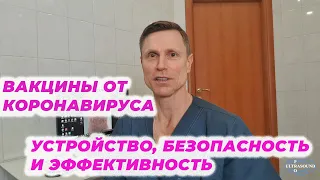 Вакцины от коронавируса. Устройство, безопасность и эффективность.