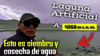 🏔️Siembra y COSECHA de 🌧️AGUA, Técnica ANCESTRAL Pre INCA a 4268 m s.n.m. en Atoqhuaccasa#ayacucho🇵🇪