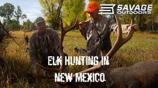 Elk Hunting in New Mexico