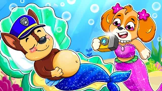 Paw Patrol Ultimate Rescue | Brewing Cute Baby & Pregnant | Chase Mermaid Has a Baby?! | Rainbow 3