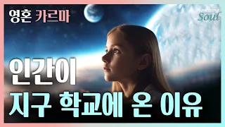 나는 왜 태어났을까? 삶에서 문제가 닥치는 가장 큰 이유! 카르마 영혼 우주섭리