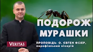 Подорож мурашки. Проповідь: о. Євген Фізер, парафіяльний вікарій