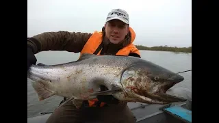 За королевским лососем на Камчатку. Рыбалка на чавычу на реке Большая. King salmon fishing.