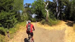 Skyline Ridge and Crazy Pete's Road Mountain Bike Ride