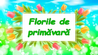 Florile de primăvară - prezentare  |  Cunoașterea mediului