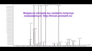 Мастер-класс от Арти. Что такое хроматограмма?