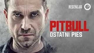 Pitbull: Ostatni pies - Recenzja #367