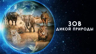 Зов дикой природы / Our Nature (2019) / Документальный