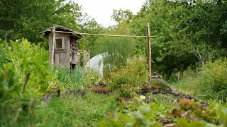 Permaculture et autonomie: Visite de la Ferme de la Goursaline