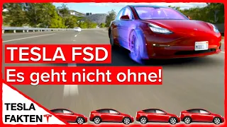 TESLA FSD: Sind Autobauer auf Tesla angewiesen? (Autonomes Fahren)