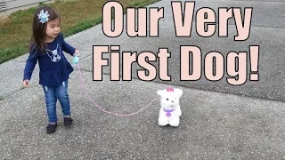 Our First Dog! - August 15, 2015 -  ItsJudysLife Vlogs