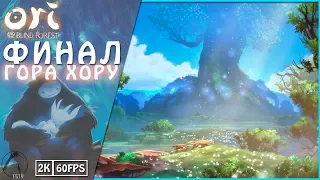 ГОРА ХОРУ ● Ori and the Blind Forest [PC | 2K60FPS] ► ФИНАЛ