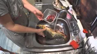 Как выпотрошить рыбу