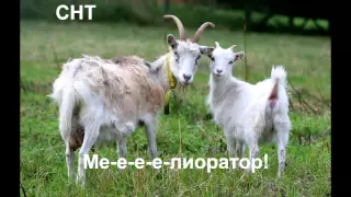 СНТ Мелиоратор