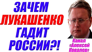 Михаил Делягин – Что затевает Лукашенко и зачем идет против России? 18.02.2017