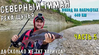 ✅ПОХОД СПЛАВ НА Пакрафтах 440 КМ| СЕВЕРНЫЙ ТИМАН| Река ЩУЧЬЯ КИШИТ ХАРИУСОМ #5