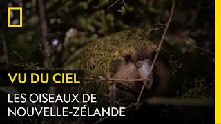 La Nouvelle-Zélande, terre à volatiles