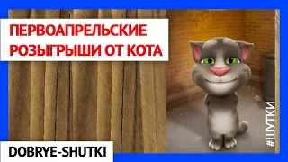 Первоапрельские розыгрыши от кота