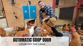 AUTOMATIC CHICKEN COOP DOOR // BIG ENOUGH FOR OUR TURKEYS AND DUCKS