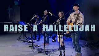 Raise a Hallelujah (Live) - LEVISTANCE