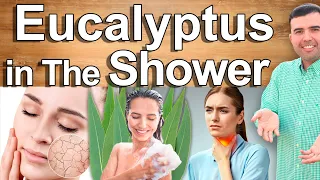 EUCALYPTUS IN THE SHOWER? - What Is It for, Benefits and Uses of Eucalyptus Vapor On a Daily Bases