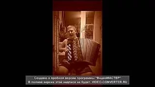 В.Цой Когда твоя девушка больна (Сover под баян) Исполняет: Алексей Силаев