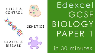 All of Edexcel BIOLOGY Paper 1 in 30 minutes - GCSE Science Revision