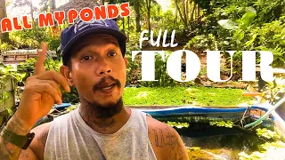 13 UNIQUE DIY BACKYARD FISH PONDS (TOUR) *PLUS* Budget Build Ideas, Fish Care, Ficus Tree Update!