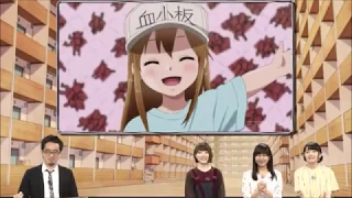 [Eng Sub] Cells at Work: Real life "Ano ne" and the Platelet Song