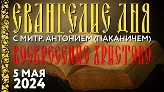 Светлое Христово Воскресение. Пасха. 05.05.2024. Толкование Евангелия с митр. Антонием (Паканичем).