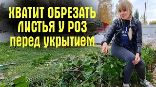 НЕ ОБРЕЗАЙТЕ ЛИСТЬЯ У РОЗ! Не совершайте ОШИБКУ!