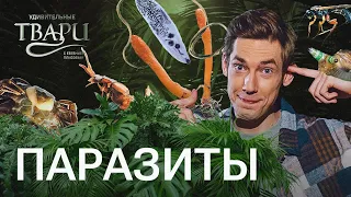 Осы-убийцы, улитки-зомби, мухи мозгоеды. Как паразиты отравляют жизнь животным?