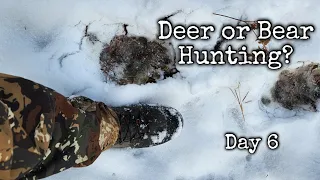 deer hunting 2023 | deer tracking New York