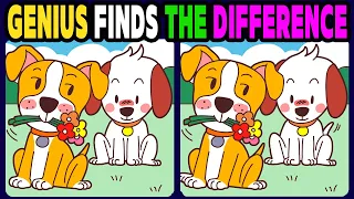 【Spot the difference】Only genius find the difference【 Find the difference 】305