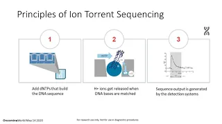 First experience with the Ion Torrent Genexus Workflow