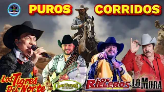 Tigres Del Norte, Los Tucanes de Tijuana,Lalo Mora,Rieleros Del Norte... Y Mas