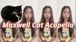 Maxwell Cat Song (acapella)