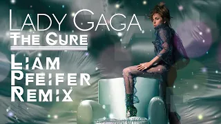 Lady Gaga - The Cure (Liam Pfeifer Remix) (with download link!) (Official Remix)