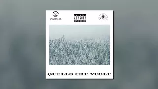 rvXmacro - QUELLO CHE VUOLE (Prod. ZAG)