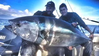 MONSTER BLUEFIN TUNA FISH OVER 250 POUND POWER DRILL AND FIGHT - HD by CATFISH WORLD