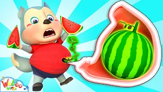 A Watermelon is Growing in My Tummy 🌱 Swallow Seed Song | Imagine Nursery Rhymes & Wolfoo Kids Songs