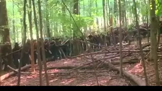 Battle of Little Round Top 3