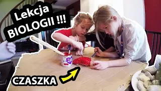 Malujemy Czaszkę BORSUKA !!! - Lekcja Biologii dla Dzieci (Vlog #428)