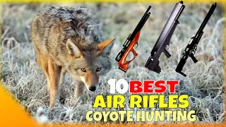 Top 10 Best Air Rifle for Coyote Hunting