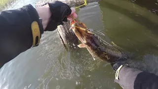 Ловля рыбы на Южном водохранилище. Удачная приманка для поимки крупной щуки. Кривой Рог