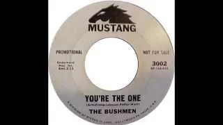 The Bushmen - You're The One (1965) [RARE]